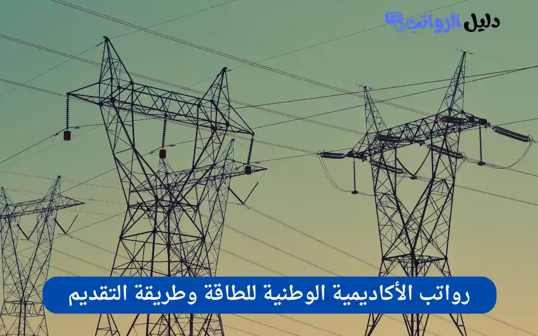 رواتب الأكاديمية الوطنية للطاقة