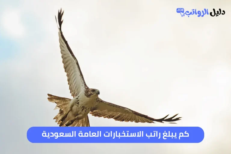 راتب الاستخبارات العامة السعودية
